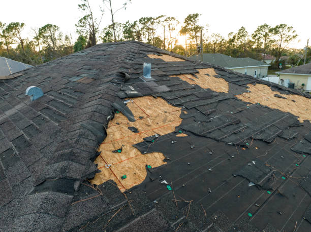 Best Roof Insulation Installation  in West University Place, TX